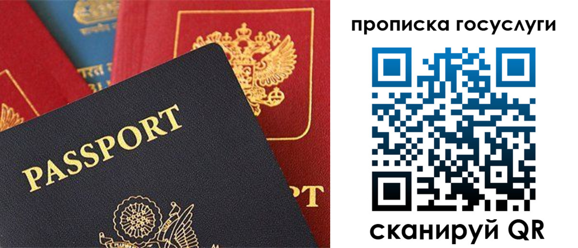 где прописаться в Стародубе